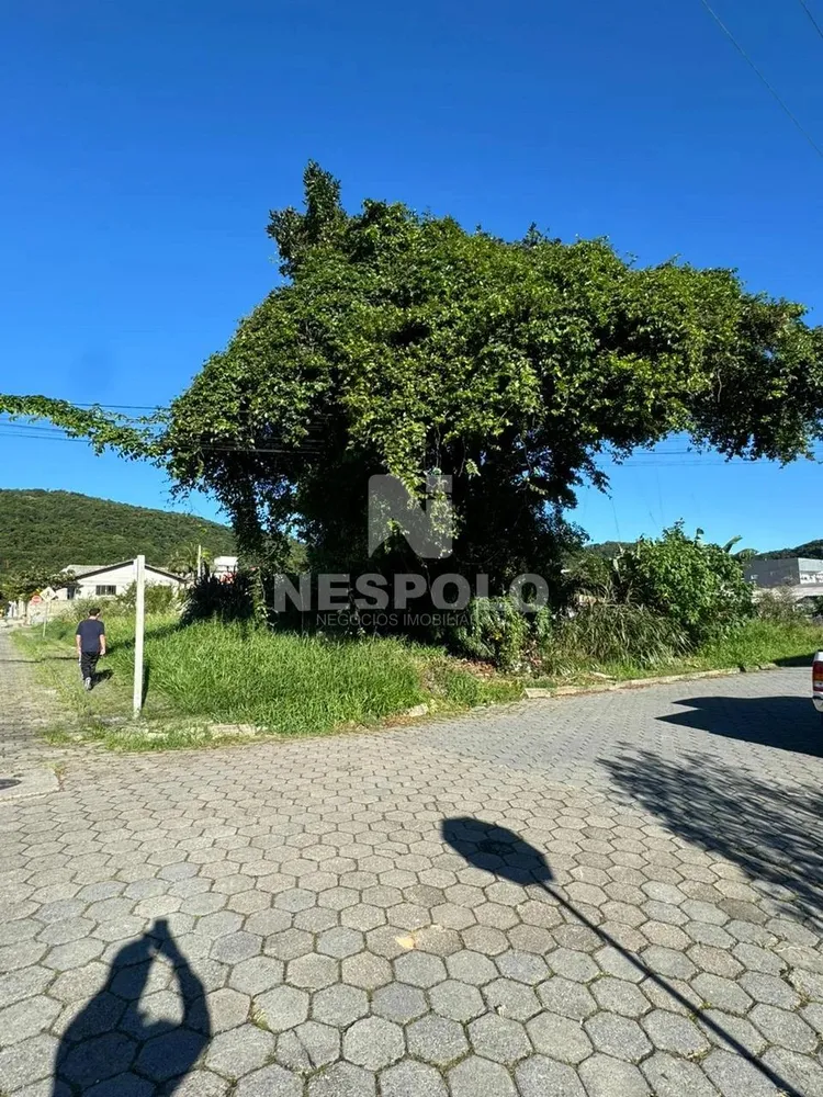 Terreno, 336 m² - Foto 3