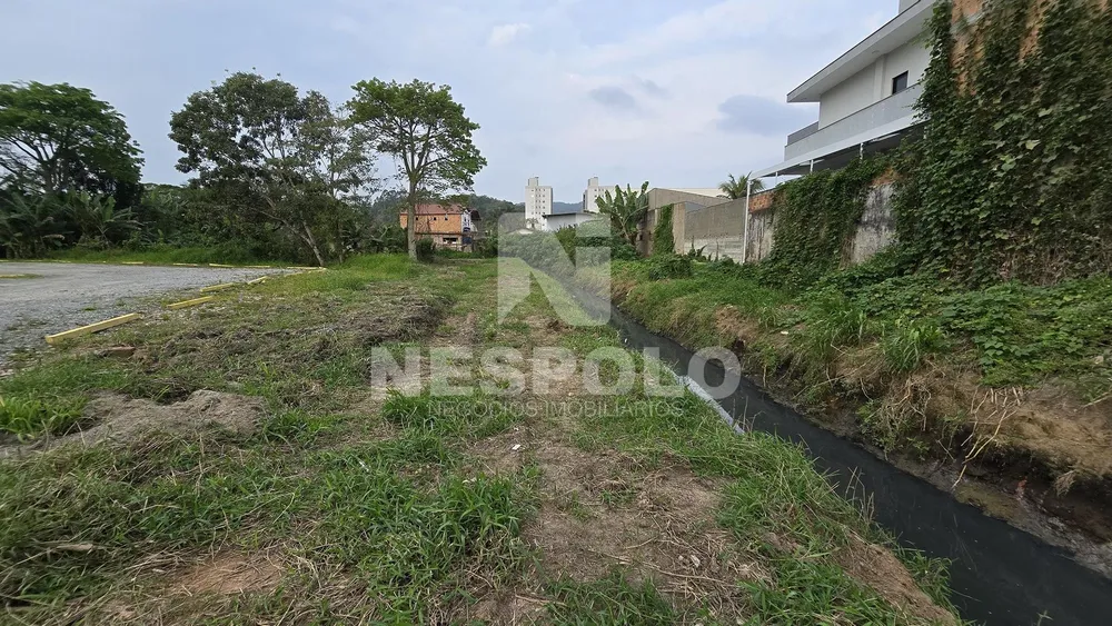 Terreno, 2 hectares - Foto 8