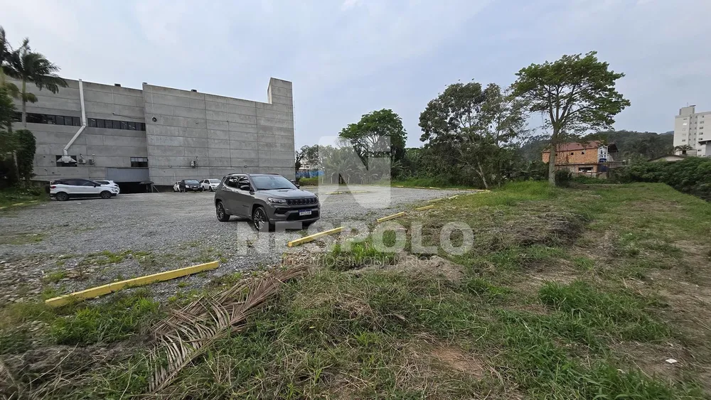 Terreno, 2 hectares - Foto 6