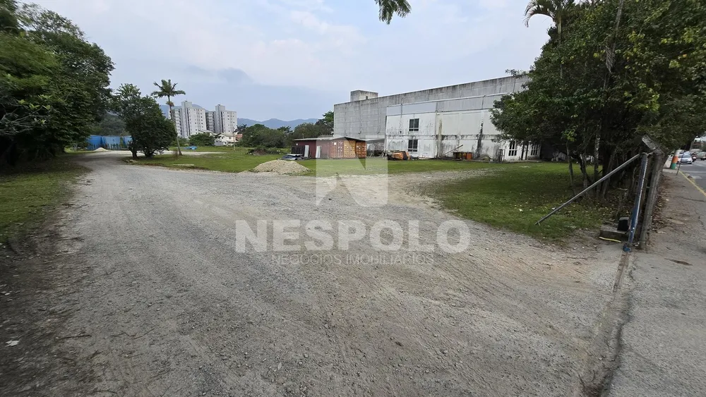 Terreno, 2 hectares - Foto 4
