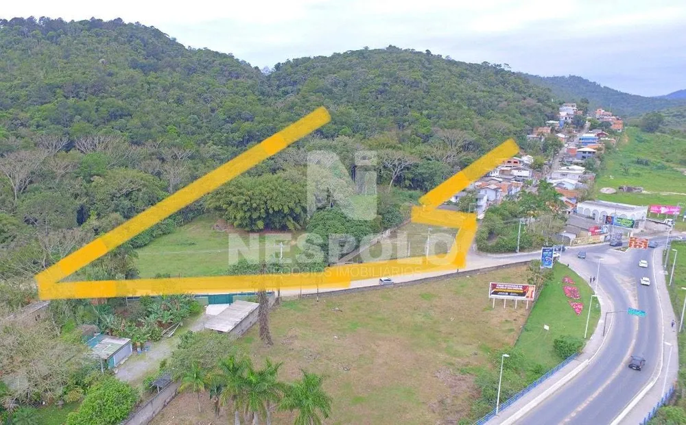 Terreno, 3 hectares - Foto 3
