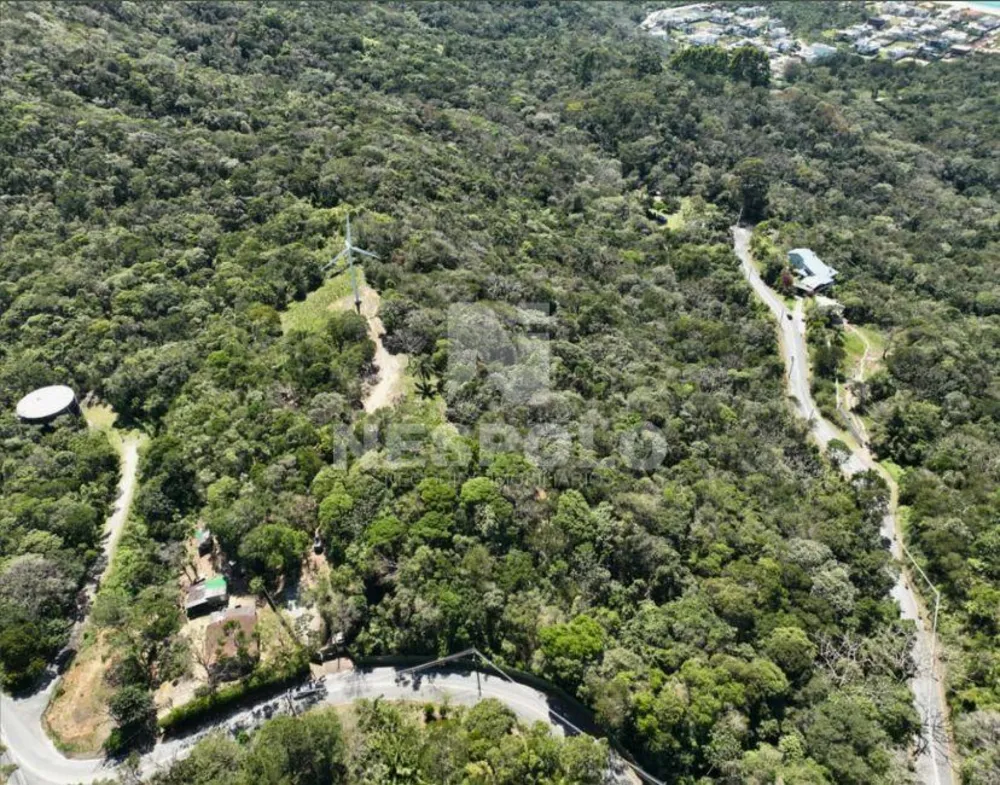 Terreno, 4 hectares - Foto 1