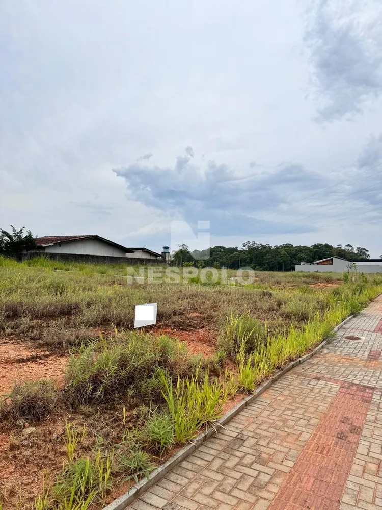 Terreno, 316 m² - Foto 2