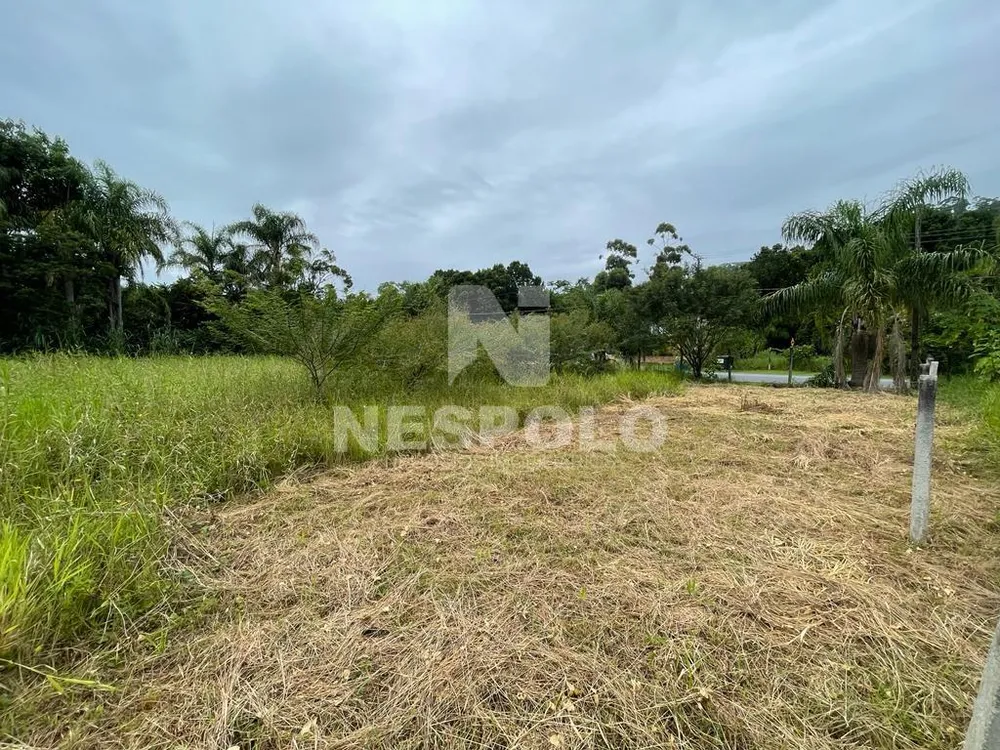 Terreno, 1449 m² - Foto 5