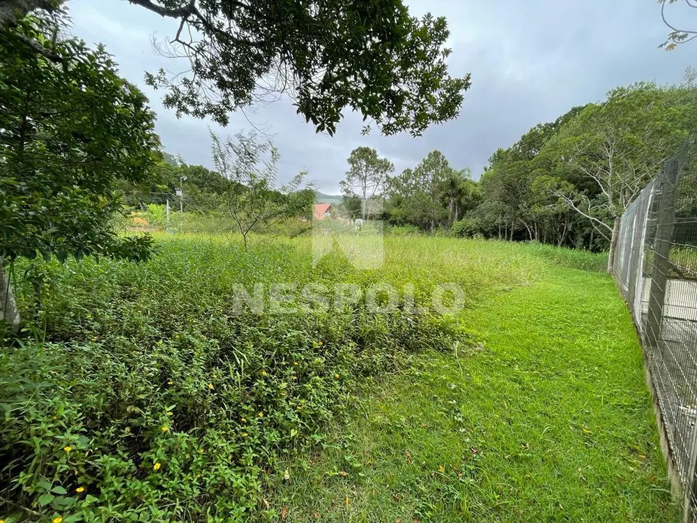 Terreno, 1449 m² - Foto 8