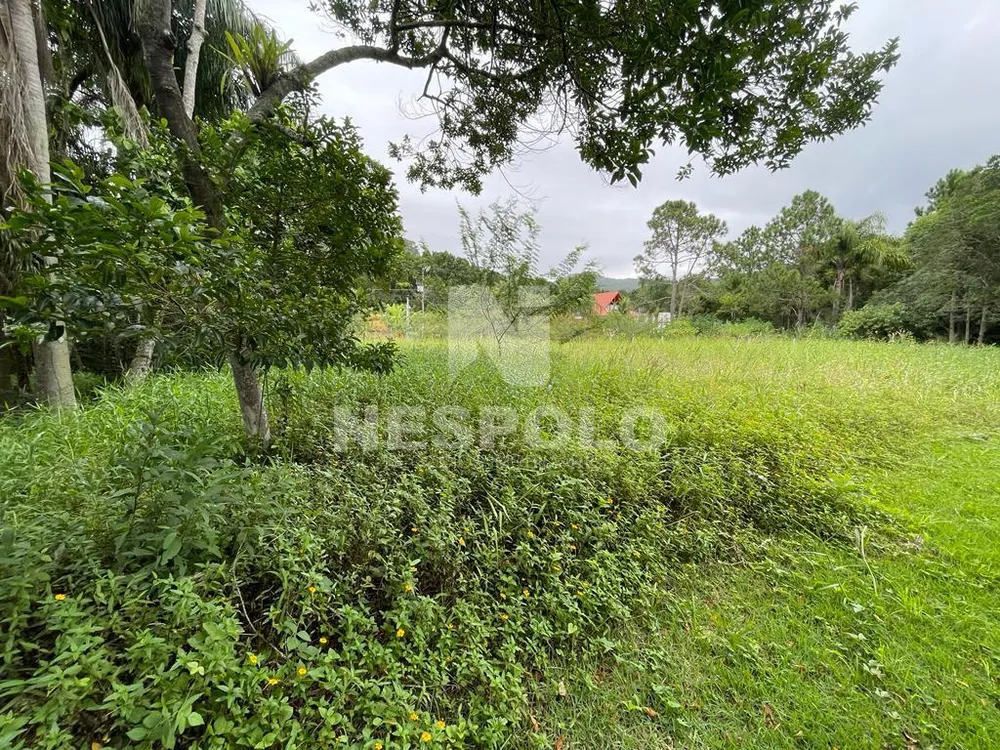 Terreno, 1449 m² - Foto 3