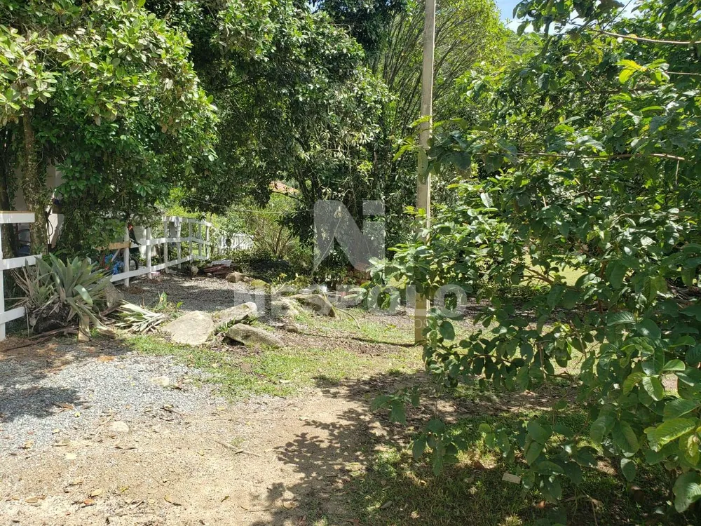 Sítio, 2 hectares - Foto 4