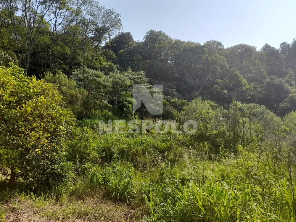 Chácara, 3 quartos, 4000 m² - Foto 6