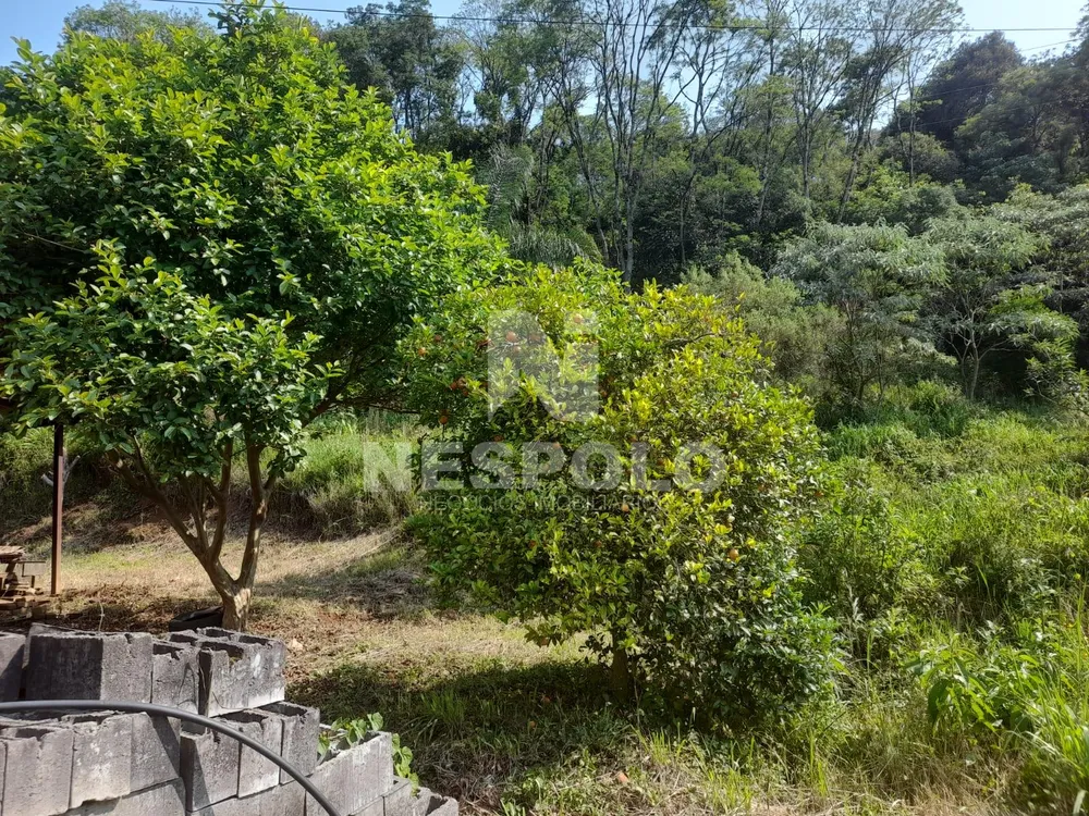 Chácara, 3 quartos, 4000 m² - Foto 4