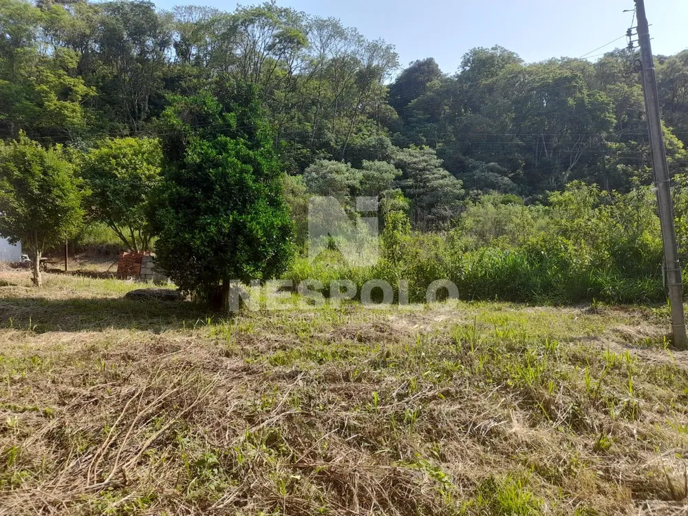 Chácara, 3 quartos, 4000 m² - Foto 14