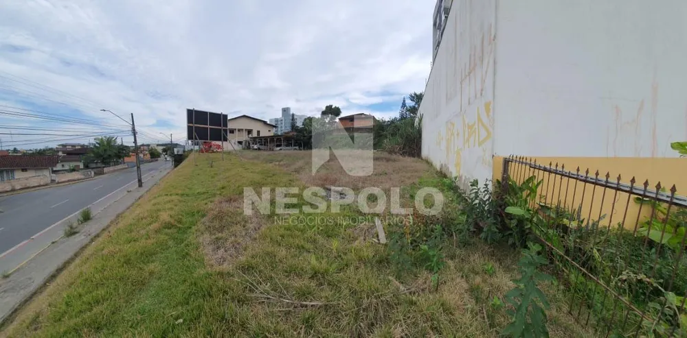 Terreno, 1000 m² - Foto 3