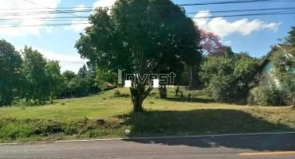 Terreno, 2 hectares - Foto 1