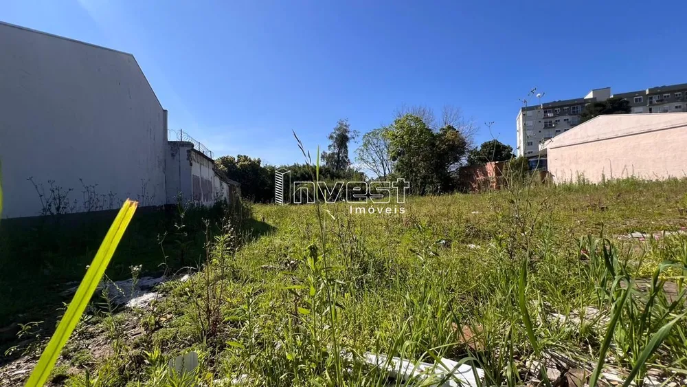 Terreno, 1950 m² - Foto 3
