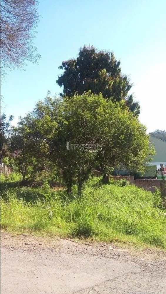 Terreno, 240 m² - Foto 1