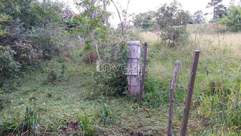 Chácara, 7 hectares - Foto 3
