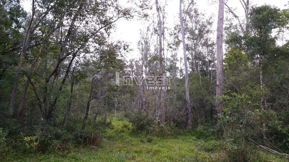 Chácara, 7 hectares - Foto 4