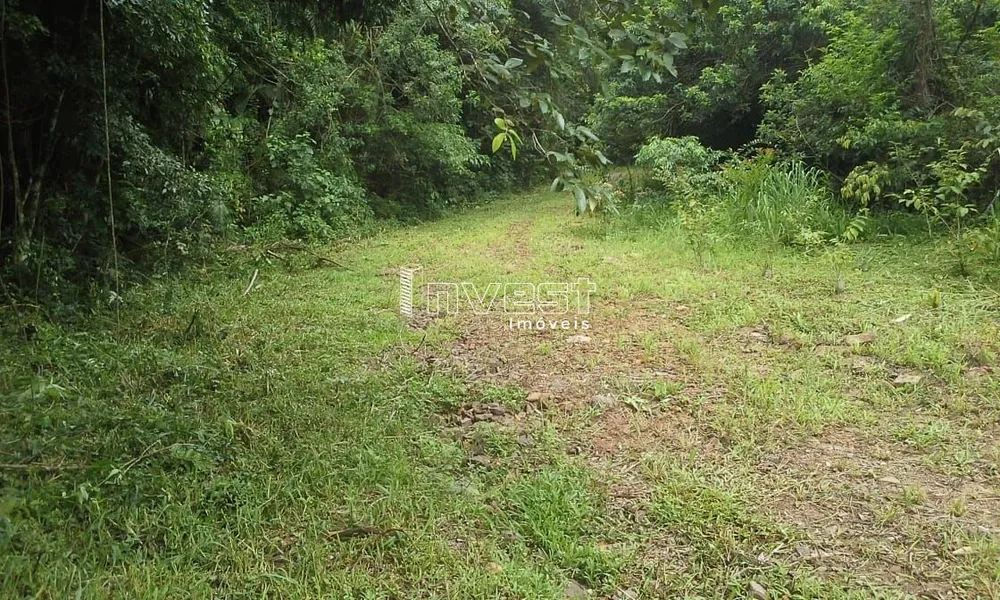 Chácara, 6 hectares - Foto 1
