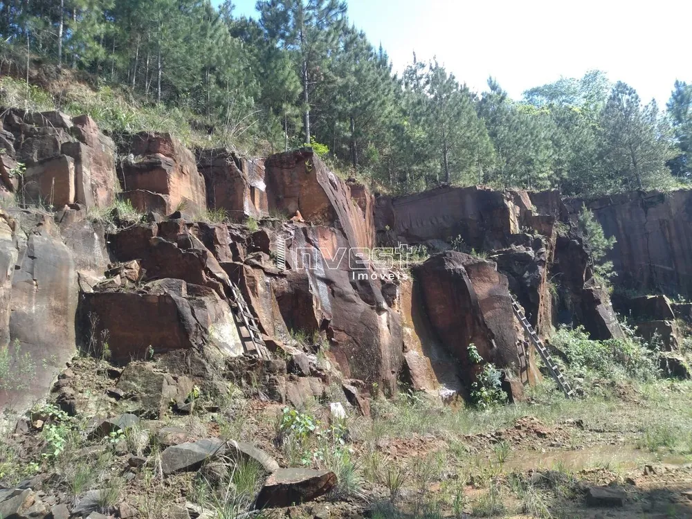 Chácara, 6 hectares - Foto 4