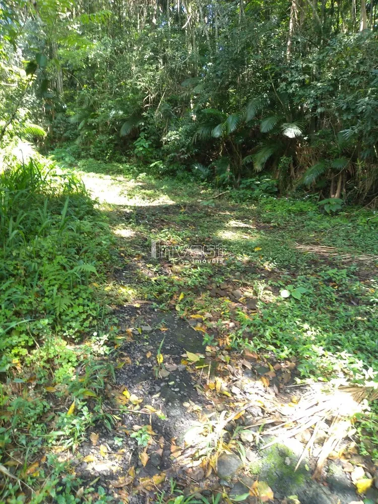 Chácara, 6 hectares - Foto 3