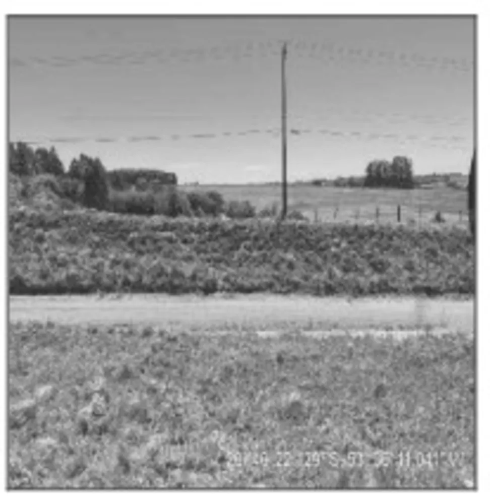Terreno, 50 m² - Foto 1