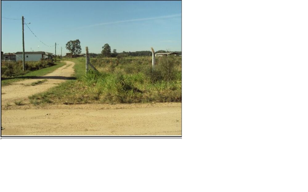 Terreno à venda, 5000m² - Foto 1