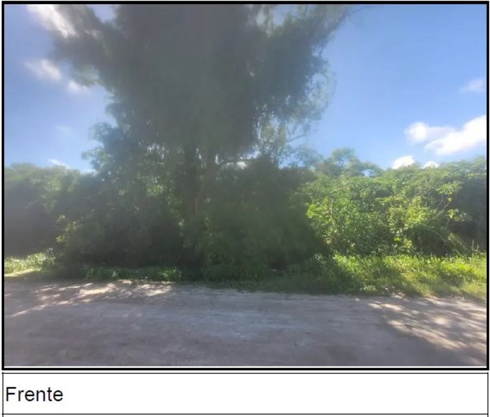 Terreno, 50 m² - Foto 4