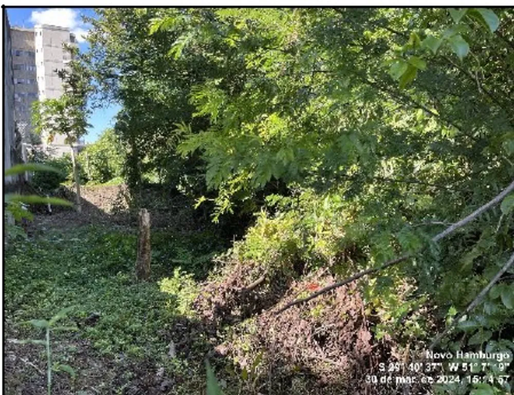 Terreno, 50 m² - Foto 3