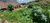 Terreno, 50 m² - Foto 1