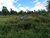 Terreno, 50 m² - Foto 1