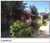 Casa, 1 quarto, 880 m² - Foto 2