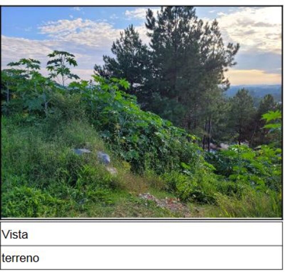 Terreno à venda, 493m² - Foto 1