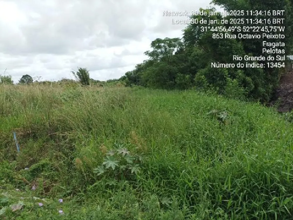 Terreno, 50 m² - Foto 2