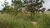 Terreno, 50 m² - Foto 1