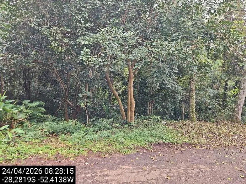 Terreno, 50 m² - Foto 1
