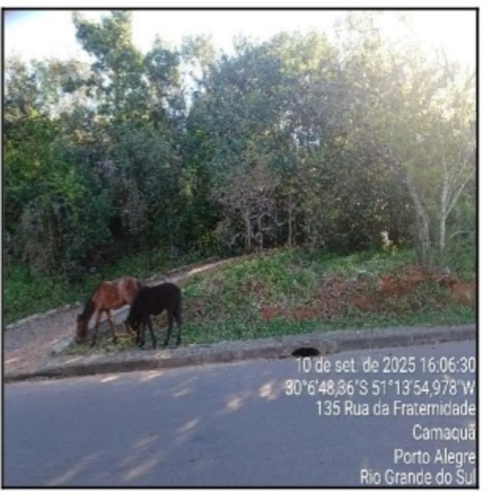 Terreno, 50 m² - Foto 1