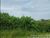 Terreno, 50 m² - Foto 4