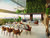 Cobertura, 4 quartos, 276 m² - Foto 3