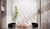 Apartamento, 1 quarto, 37 m² - Foto 2