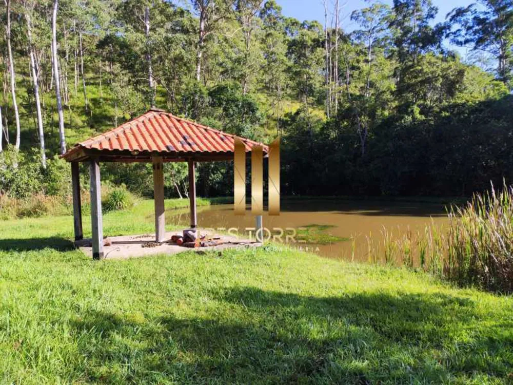 Chácara, 3 quartos, 2 hectares - Foto 17