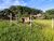 Chácara, 3 quartos, 2 hectares - Foto 7