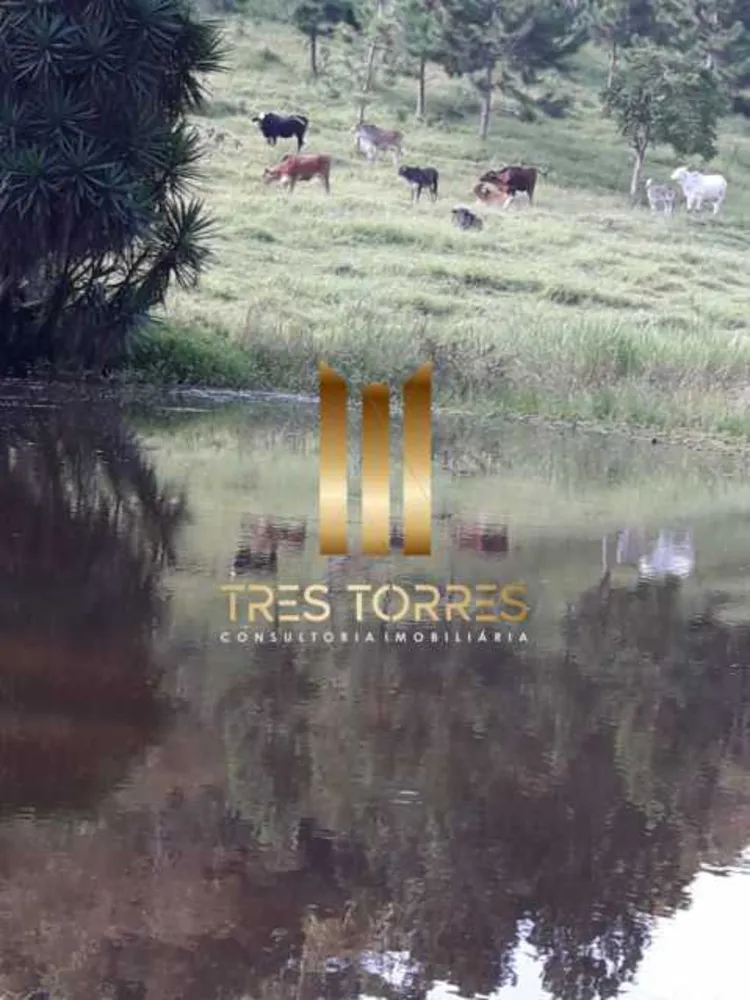 Fazenda, 21 hectares - Foto 16