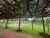 Terreno, 360 m² - Foto 4