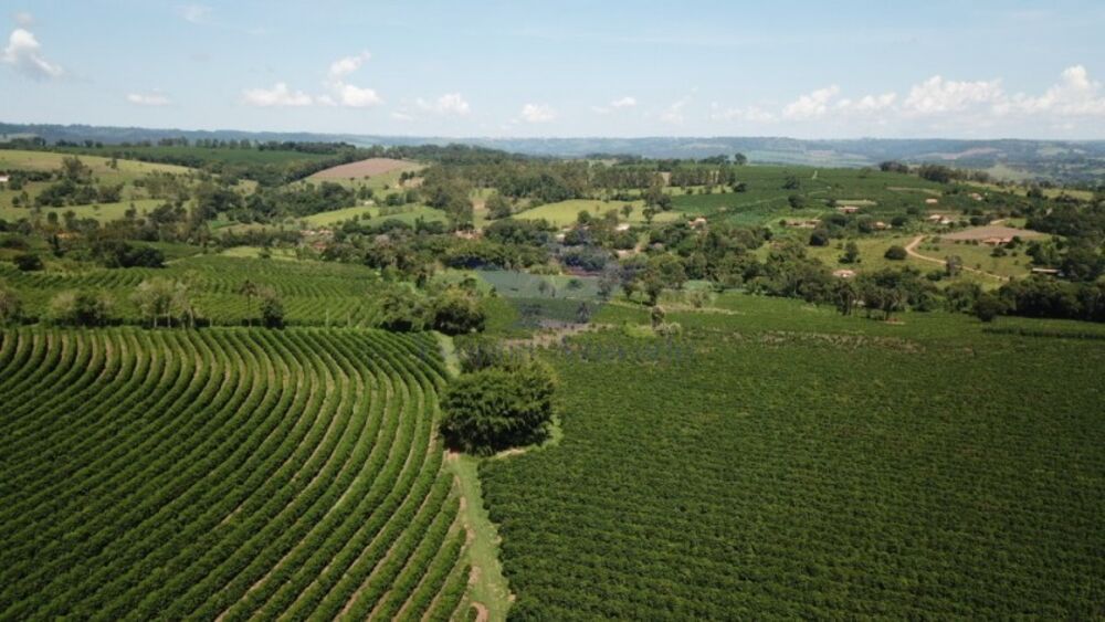 Fazenda, 4 quartos - Foto 2