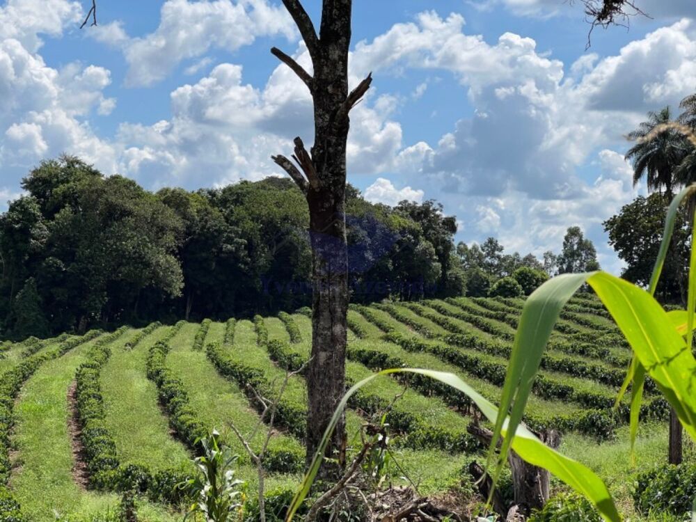 Fazenda, 4 quartos - Foto 4