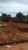 Terreno, 125 m² - Foto 3