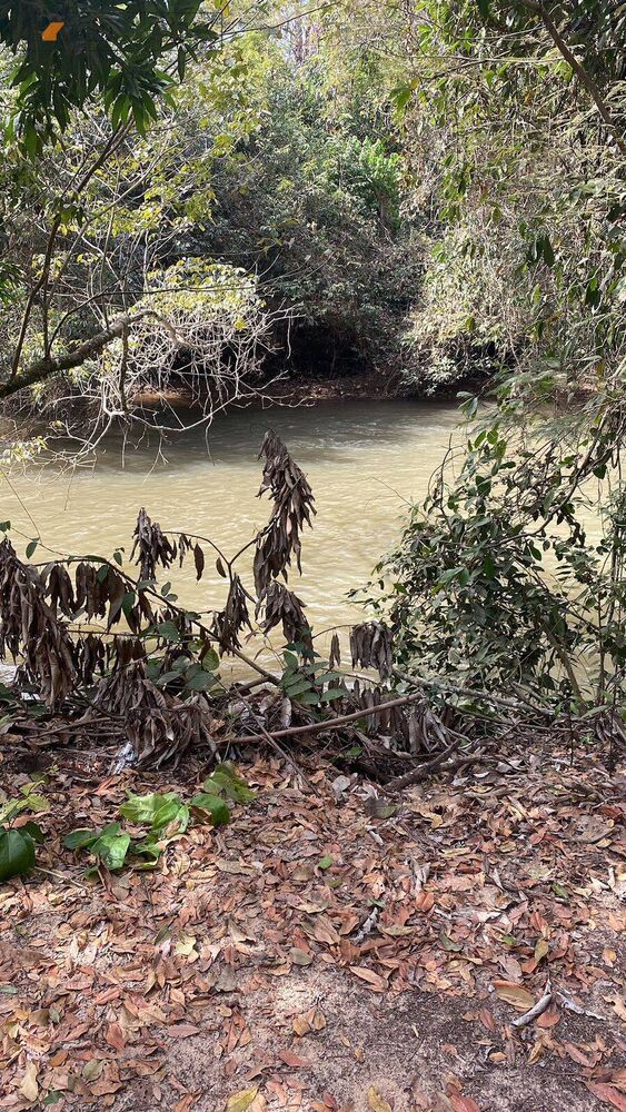 Chácara, 1 quarto, 1410 m² - Foto 2