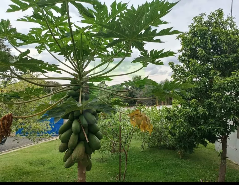 Chácara à venda com 4 quartos, 1400m² - Foto 2