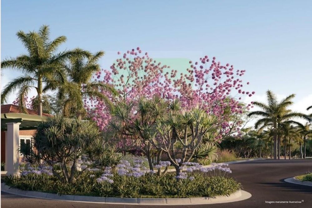 Terreno, 501 m² - Foto 2