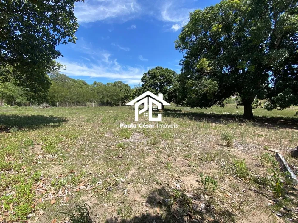 Terreno, 2 hectares - Foto 12