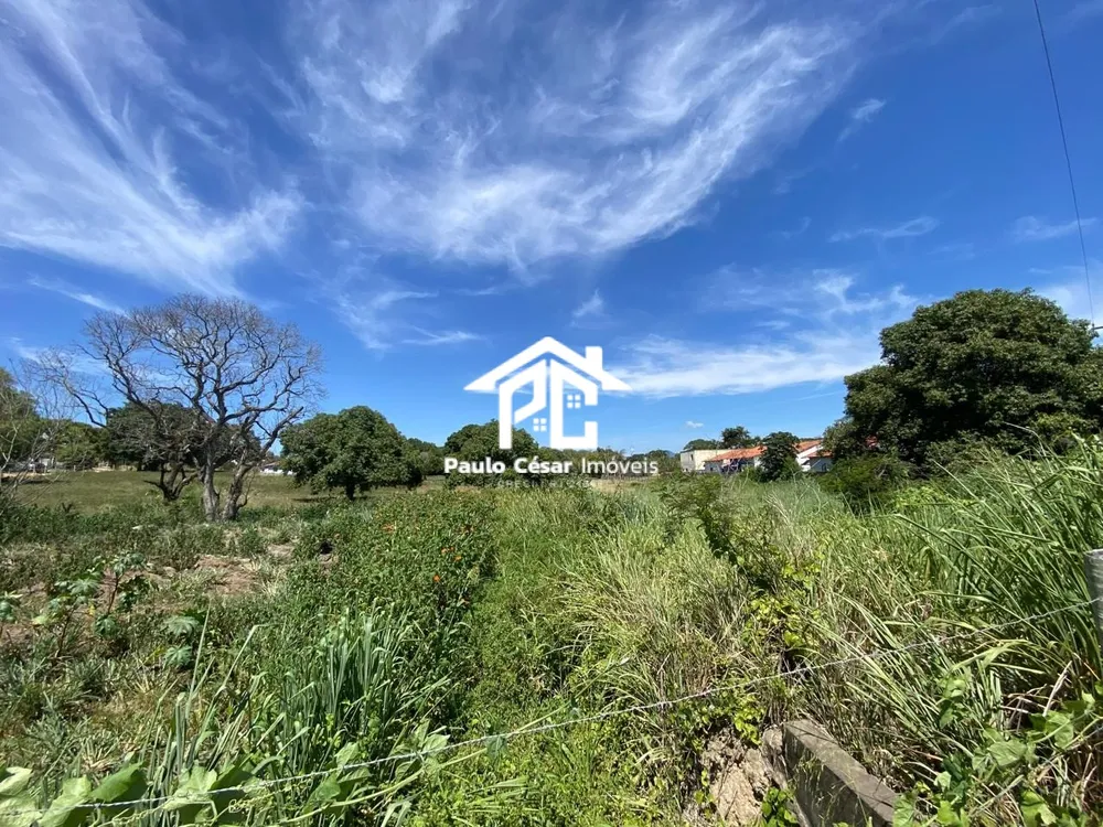 Terreno, 2 hectares - Foto 6